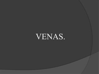 VENAS.
 
