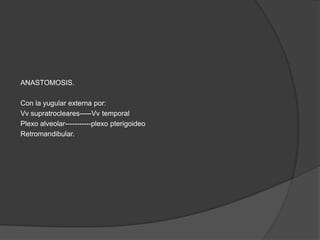 ANASTOMOSIS.
Con la yugular externa por:
Vv supratrocleares-----Vv temporal
Plexo alveolar-----------plexo pterigoideo
Retromandibular.
 