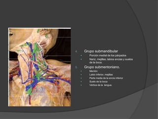 4. Grupo submandibular
 Porción medial de los párpados
 Nariz, mejillas, labios encias y suelos
de la boca.
5. Grupo submentoniano.
 Mentón
 Labio inferior, mejillas
 Parte media de la encía inferior
 Suelo de la boca
 Vértice de la lengua.
 
