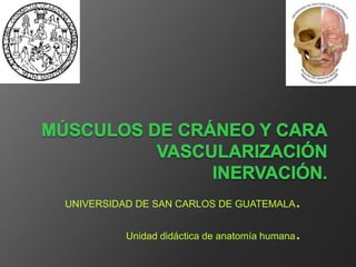 UNIVERSIDAD DE SAN CARLOS DE GUATEMALA.
Unidad didáctica de anatomía humana.
 
