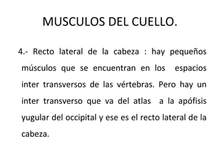 MUSCULOS DEL CUELLO.
4.- Recto lateral de la cabeza : hay pequeños
músculos que se encuentran en los espacios
inter transversos de las vértebras. Pero hay un
inter transverso que va del atlas a la apófisis
yugular del occipital y ese es el recto lateral de la
cabeza.
 