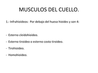 MUSCULOS DEL CUELLO.
1.- Infrahioideos: Por debajo del hueso hioides y son 4:
- Esterno cleidohioideo.
- Esterno tiroideo o esterno costo tiroideo.
- Tirohioideo.
- Homohioideo.
 