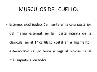 MUSCULOS DEL CUELLO.
- Esternocleidohioideo: Se inserta en la cara posterior
del mango esternal, en la parte interna de la
clavícula, en el 1° cartílago costal en el ligamento
esternoclavicular posterior y llega al hioides. Es el
más superficial de todos.
 