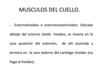 MUSCULOS DEL CUELLO.
- Esternotiroideo o esternocostotiroideo: Ubicado
debajo del esterno cleido hioideo, se inserta en la
cara posterior del esternón, de ahí asciende y
termina en la cara externa del cartílago tiroides (no
llega al hioides).
 