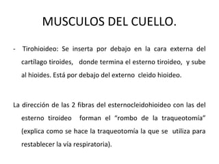 MUSCULOS DEL CUELLO.
- Tirohioideo: Se inserta por debajo en la cara externa del
cartílago tiroides, donde termina el esterno tiroideo, y sube
al hioides. Está por debajo del externo cleido hioideo.
La dirección de las 2 fibras del esternocleidohioideo con las del
esterno tiroideo forman el “rombo de la traqueotomía”
(explica como se hace la traqueotomía la que se utiliza para
restablecer la vía respiratoria).
 