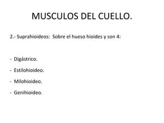 MUSCULOS DEL CUELLO.
2.- Suprahioideos: Sobre el hueso hioides y son 4:
- Digástrico.
- Estilohioideo.
- Milohioideo.
- Genihioideo.
 