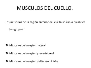 MUSCULOS DEL CUELLO.
Los músculos de la región anterior del cuello se van a dividir en
tres grupos:
✿ Músculos de la región lateral
✿ Músculos de la región prevertebreal
✿ Músculos de la región del hueso hioides
 