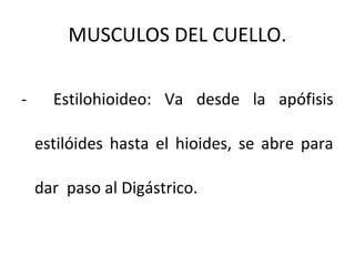 MUSCULOS DEL CUELLO.
- Estilohioideo: Va desde la apófisis
estilóides hasta el hioides, se abre para
dar paso al Digástrico.
 