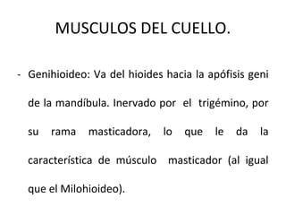 MUSCULOS DEL CUELLO.
- Genihioideo: Va del hioides hacia la apófisis geni
de la mandíbula. Inervado por el trigémino, por
su rama masticadora, lo que le da la
característica de músculo masticador (al igual
que el Milohioideo).
 