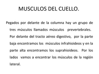 MUSCULOS DEL CUELLO.
Pegados por delante de la columna hay un grupo de
tres músculos llamados músculos prevertebrales.
Por delante del tracto aéreo digestivo, por la parte
baja encontramos los músculos infrahioideos y en la
parte alta encontramos los suprahioideos. Por los
lados vamos a encontrar los músculos de la región
lateral.
 