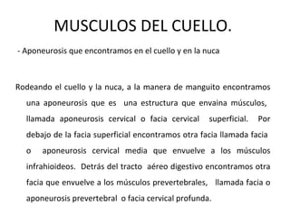 MUSCULOS DEL CUELLO.
- Aponeurosis que encontramos en el cuello y en la nuca
Rodeando el cuello y la nuca, a la manera de manguito encontramos
una aponeurosis que es una estructura que envaina músculos,
llamada aponeurosis cervical o facia cervical superficial. Por
debajo de la facia superficial encontramos otra facia llamada facia
o aponeurosis cervical media que envuelve a los músculos
infrahioideos. Detrás del tracto aéreo digestivo encontramos otra
facia que envuelve a los músculos prevertebrales, llamada facia o
aponeurosis prevertebral o facia cervical profunda.
 