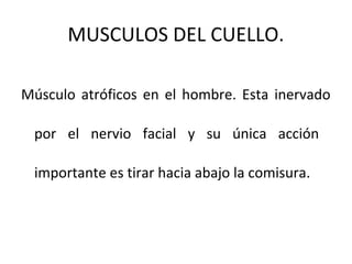 MUSCULOS DEL CUELLO.
Músculo atróficos en el hombre. Esta inervado
por el nervio facial y su única acción
importante es tirar hacia abajo la comisura.
 