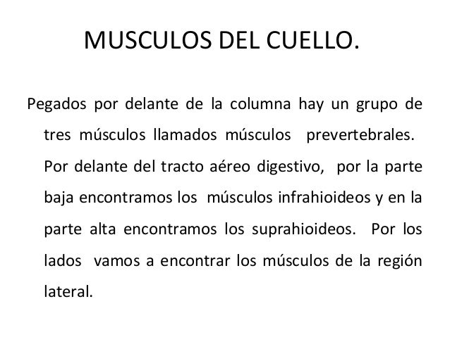 La osteocondrosis de la medida de su profiláctica