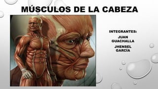 MÚSCULOS DE LA CABEZA
INTEGRANTES:
JUAN
GUACHALLA
JHENSEL
GARCÍA
 