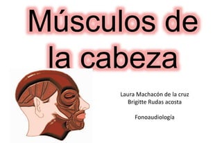 Músculos de
la cabeza
Laura Machacón de la cruz
Brigitte Rudas acosta
Fonoaudiología
 