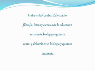 Universidad central del ecuador
filosofía, letras y ciencias de la educación
escuela de biología y química
cc nn y del ambiente biología y química
anatomía
 