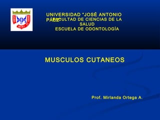 UNIVERSIDAD “JOSÉ ANTONIO
PÁEZ”FACULTAD DE CIENCIAS DE LA
SALUD
ESCUELA DE ODONTOLOGÍA
Prof. Mirlanda Ortega A.
MUSCULOS CUTANEOS
 