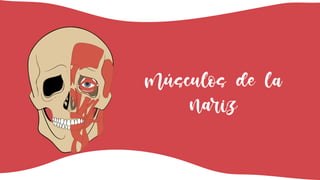 Músculos de la
nariz
 