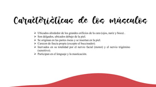 Características de los músculos
Ø Ubicados alrededor de los grandes orificios de la cara (ojos, nariz y boca) .
Ø Son delgados, ubicados debajo de la piel.
Ø Se originan en las partes óseas y se insertan en la piel.
Ø Carecen de fascia propia (excepto el buccinador).
Ø Inervados en su totalidad por el nervio facial (motor) y el nervio trigémino
(sensitivo).
Ø Participan en el lenguaje y la masticación.
 
