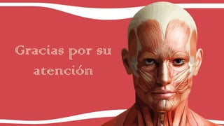 Gracias por su
atención
 