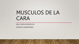 MUSCULOS DE LA
CARA
WILLY URETA CENTENO MD
DOCENTE UNIVERSITARIO
 