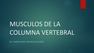 MUSCULOS DE LA
COLUMNA VERTEBRAL
DR. JAVIER RAFAEL RODRIGUEZ NUÑEZ
 