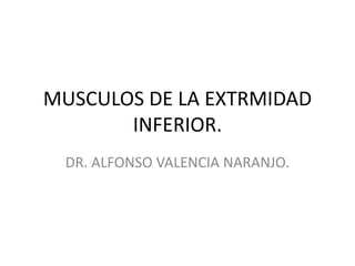 MUSCULOS DE LA EXTRMIDAD
INFERIOR.
DR. ALFONSO VALENCIA NARANJO.
 