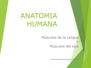 ANATOMIA
HUMANA
Músculos de la Lengua
Y
Músculos del ojos
Alarcon Barahona Aquiles Arnaldo
 