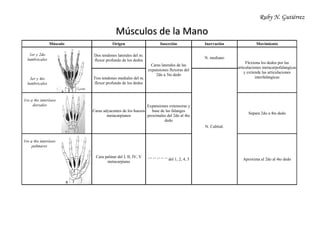 Ruby N. Gutiérrez
Músculo Origen Inserción Inervación Movimiento
1er y 2do
lumbricales
3er y 4to
lumbricales
Dos tendones laterales del m.
flexor profundo de los dedos
Caras laterales de las
expansiones flexoras del
2do a 5to dedo
N. mediano
Flexiona los dedos por las
articulaciones metacarpofalangicas
y extiende las articulaciones
interfalángicasTres tendones mediales del m.
flexor profundo de los dedos
N. Cubital.
1ro a 4to interóseo
dorsales
Caras adyacentes de los huesos
metacarpianos
Expansiones extensoras y
base de las falanges
proximales del 2do al 4to
dedo
Separa 2do a 4to dedo
1ro a 4to interóseo
palmares
Cara palmar del I, II, IV, V
metacarpiano
‘’’ ‘’ ‘’ ‘’ ‘’ del 1, 2, 4, 5 Aproxima al 2do al 4to dedo
MMúússccuullooss ddee llaa MMaannoo
 