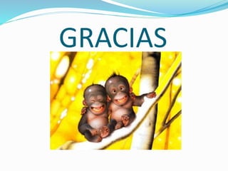 GRACIAS
 