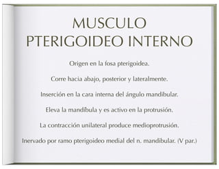 MUSCULO
 PTERIGOIDEO INTERNO
                 Origen en la fosa pterigoidea.

          Corre hacia abajo, posterior y lateralmente.

      Inserción en la cara interna del ángulo mandibular.

        Eleva la mandíbula y es activo en la protrusión.

      La contracción unilateral produce medioprotrusión.

Inervado por ramo pterigoideo medial del n. mandibular. (V par.)
 