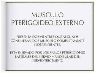 MUSCULO
PTERIGOIDEO EXTERNO
  PRESENTA DOS VIENTRES QUE ALGUNOS
CONSIDERAN DOS MUSCULO COMPLETAMENTE
            INDEPENDIENTES.

ESTA INERVADO POR LOS RAMOS PTERIGOIDEOS
   LATERALES DEL NERVIO MANDIBULAR DEL
             NERVIO TRIGEMINO.
 