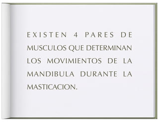 EXISTEN 4 PARES DE
MUSCULOS QUE DETERMINAN
LOS MOVIMIENTOS DE LA
MANDIBULA DURANTE LA
MASTICACION.
 