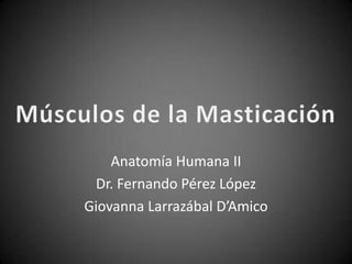 Anatomía Humana II
  Dr. Fernando Pérez López
Giovanna Larrazábal D’Amico
 
