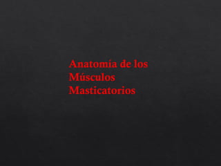 Anatomía de los
Músculos
Masticatorios
 