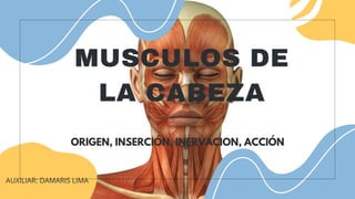 MUSCULOS DE
LA CABEZA
AUXILIAR: DAMARIS LIMA
ORIGEN, INSERCIÓN, INERVACION, ACCIÓN
 