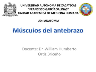 Docente: Dr. William Humberto
Ortiz Briceño
UNIVERSIDAD AUTONOMA DE ZACATECAS
“FRANCISCO GARCÍA SALINAS”
UNIDAD ACADEMICA DE MEDICINA HUMANA
UDI: ANATOMIA
 