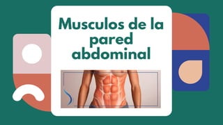 Musculos de la
pared
abdominal
 