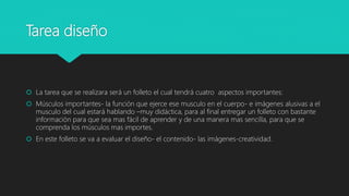 Tarea diseño
 La tarea que se realizara será un folleto el cual tendrá cuatro aspectos importantes:
 Músculos importantes- la función que ejerce ese musculo en el cuerpo- e imágenes alusivas a el
musculo del cual estará hablando –muy didáctica, para al final entregar un folleto con bastante
información para que sea mas fácil de aprender y de una manera mas sencilla, para que se
comprenda los músculos mas importes.
 En este folleto se va a evaluar el diseño- el contenido- las imágenes-creatividad.
 