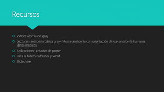 Recursos
 Videos atomía de gray
 Lecturas- anatomía básica gray- Moore anatomía con orientación clínica- anatomía humana
libros médicos
 Aplicaciones- creador de poster
 Para la folleto Publisher y Word
 Slideshare
 