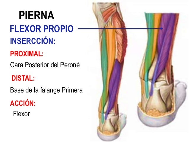 El mejor complejo de los ejercicios para la osteocondrosis