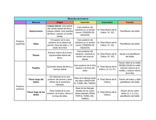 Músculos de la pierna tabla - MLMH 2.pdf