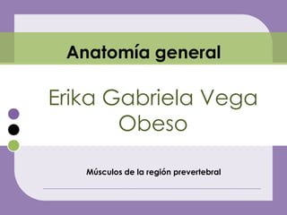 Anatomía general

Erika Gabriela Vega
       Obeso

   Músculos de la región prevertebral
 