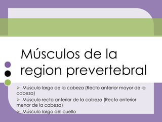 Músculos de la
 region prevertebral
 Músculo largo de la cabeza (Recto anterior mayor de la
cabeza)
 Músculo recto anterior de la cabeza (Recto anterior
menor de la cabeza)
 Músculo largo del cuello
 