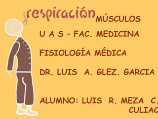 MÚSCULOS
U A S – FAC. MEDICINA
FISIOLOGÍA MÉDICA
DR. LUIS A. GLEZ. GARCIA
ALUMNO: LUIS R. MEZA C.
CULIAC
 