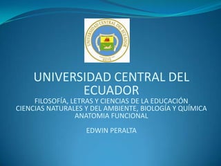 UNIVERSIDAD CENTRAL DEL
ECUADOR
FILOSOFÍA, LETRAS Y CIENCIAS DE LA EDUCACIÓN
CIENCIAS NATURALES Y DEL AMBIENTE, BIOLOGÍA Y QUÍMICA
ANATOMIA FUNCIONAL
EDWIN PERALTA
 