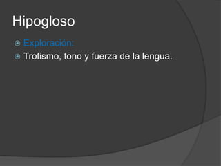 Ramas:Motoras a los músculos de la lengua, piso de la boca y a algunos infrahioideosHipogloso