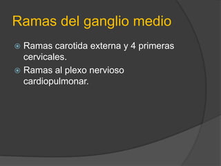 Ganglio cervical medioSituado entre el escaleno anterior y largo del cuello.Cubierto por la lamina prevertebral.Corresponde a la fusión de los ganglios C5 y C6.Da ramas periarteriales
