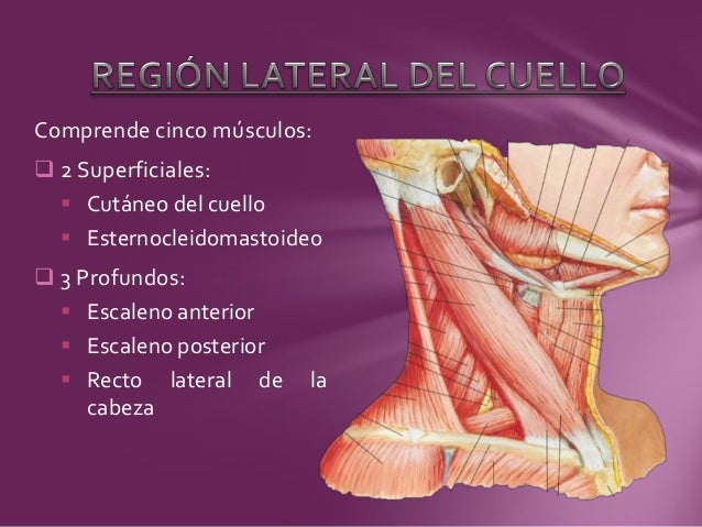 El vértigo a la osteocondrosis puede ser