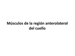 Músculos de la región anterolateral
del cuello